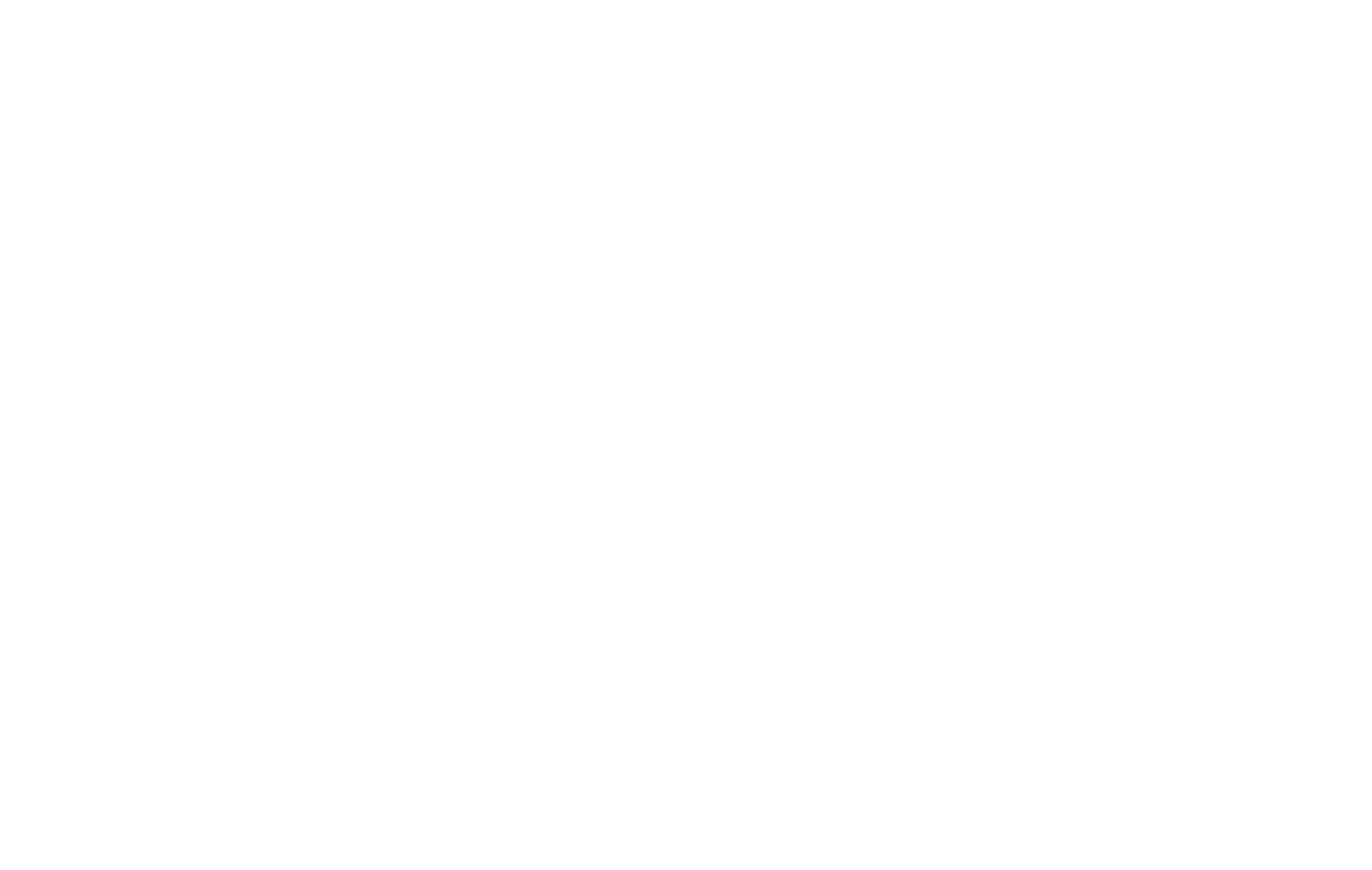 Logo BVM GROUP